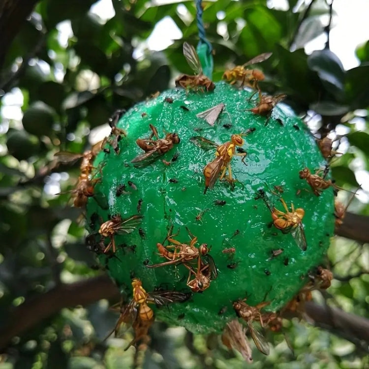 Green sticky trap ball covered with trapped insects