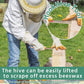 Beekeeper suit with veil and gloves using a wooden-handled hive scraper