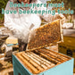 Beekeeper handling a honeycomb frame covered with bees during hive inspection