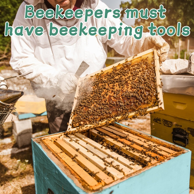 Beekeeper handling a honeycomb frame covered with bees during hive inspection