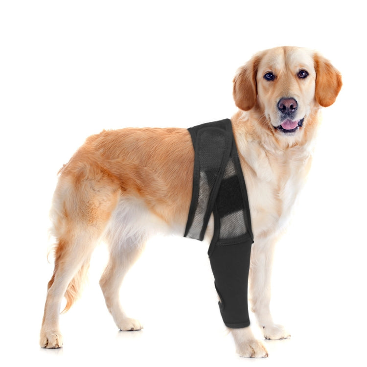 Dog leg injury support belt worn on a large tan dog, black mesh and straps