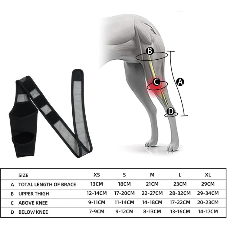 Dog injury support brace shown with labeled brace sections on a dog leg