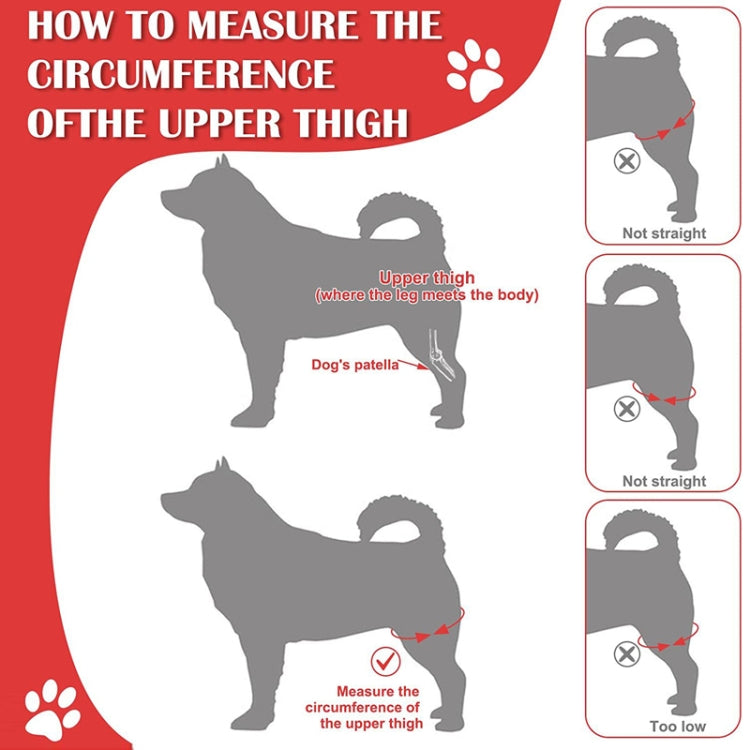 Dog brace sizing guide illustration showing where to measure upper thigh