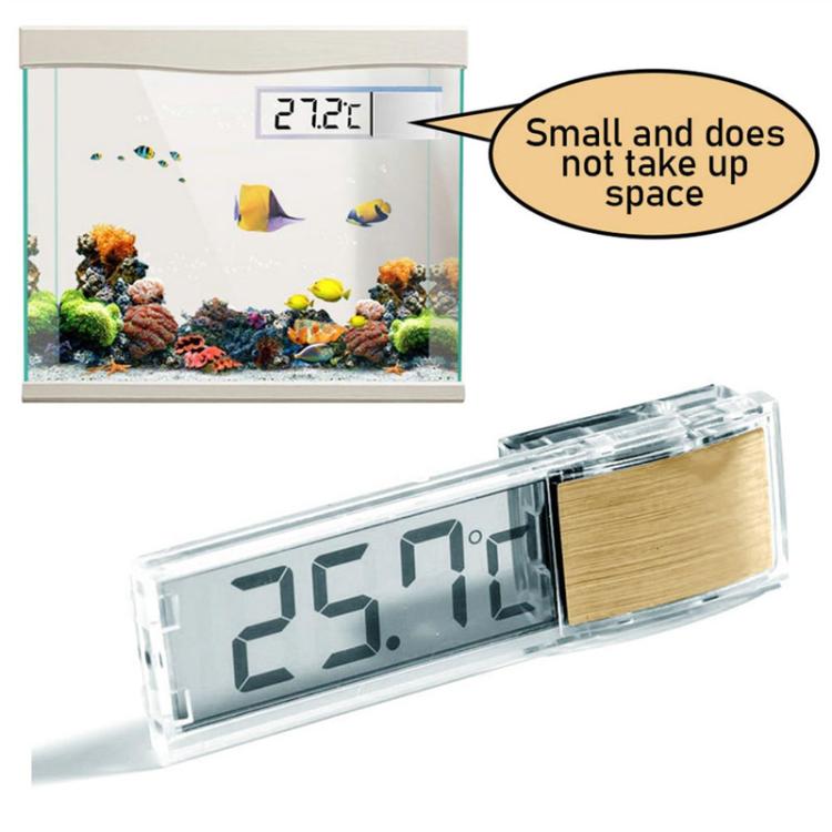Digital aquarium thermometer with clear case, LCD reading 25.9° near fish tank