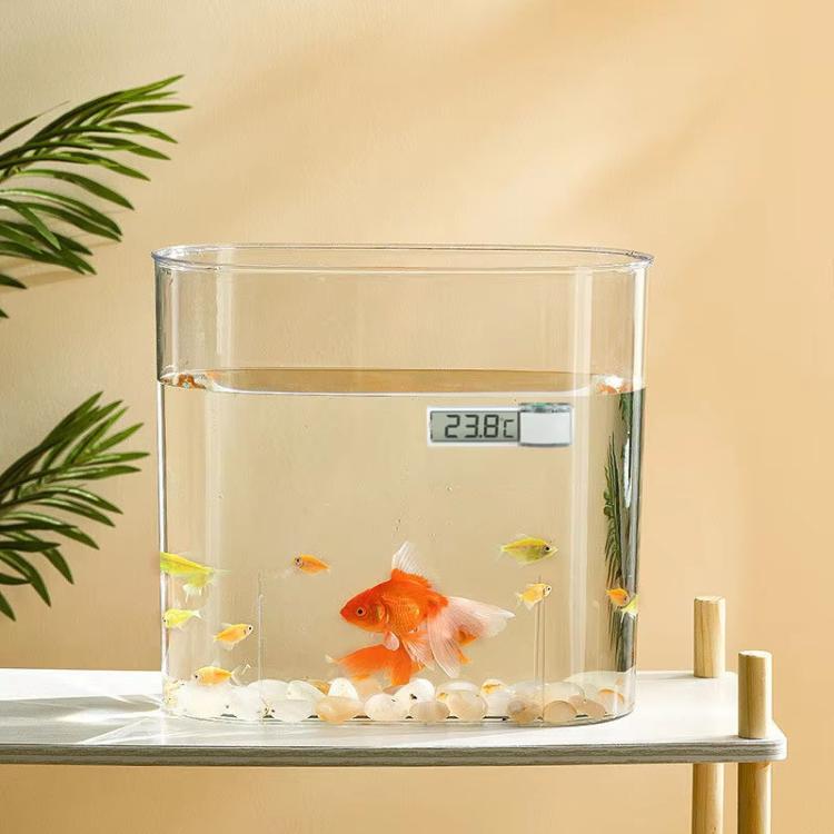 Digital aquarium thermometer mounted on aquarium edge, LCD reading 23.8°