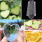 Transparent heart-shaped fruit growth mold, heart cavity view