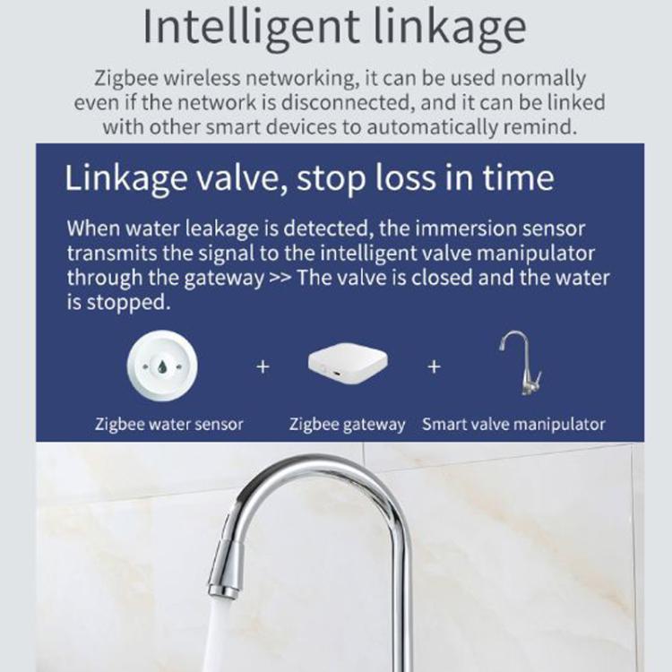 Water leak detector sensor with linkage diagram to smart valve components