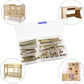 Zinc-plated hex socket screws and hex nuts kit in clear plastic organizer tray
