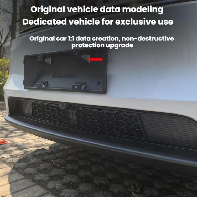 Front grille insect screen insert fitted into bumper opening