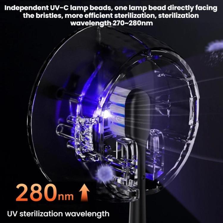 Clear UV chamber with lamp facing toothbrush bristles inside sterilizer case
