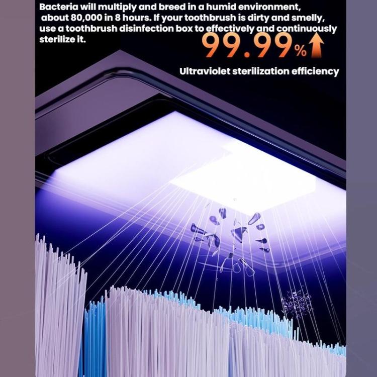 UV light sterilizing toothbrush bristle heads inside open sterilizer chamber