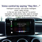 In-car screen displaying a voice control prompt with a connected car interface