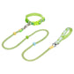 Green double-section P-shaped pet leash and collar set with two leads and metal clips