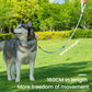 Blue pet collar with connected P-shaped double leash, worn on a husky