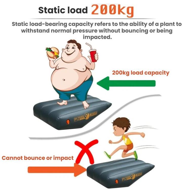 P12 inflatable bed with support and load capacity design