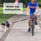 Bicycle-mounted elastic bungee dog leash with strap and metal carabiner clips