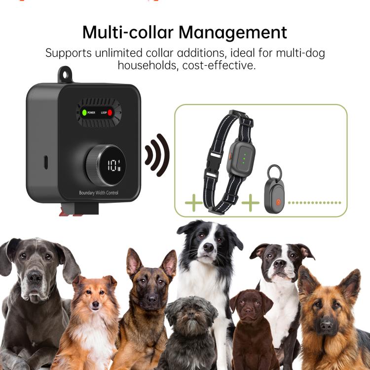 Electric dog fence transmitter with multi-collar management, black collar receiver shown