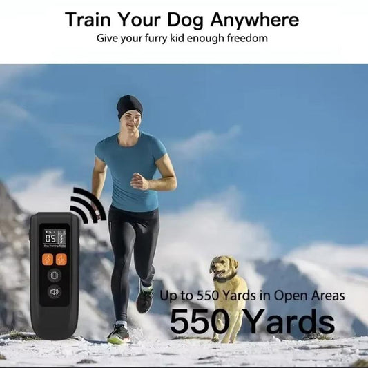 Black dog training collar receiver and remote in outdoor use position.