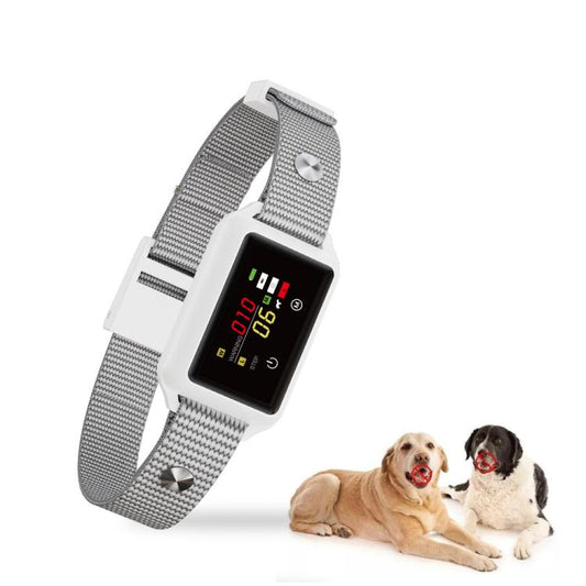 Gray anti-bark dog training collar with color display and adjustable strap