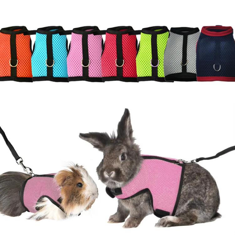 Rabbit and ferret vest-style harness with leash, pink with black trim, worn by small pets