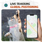 Pink cat tracker collar with bell, shown with map on phone app