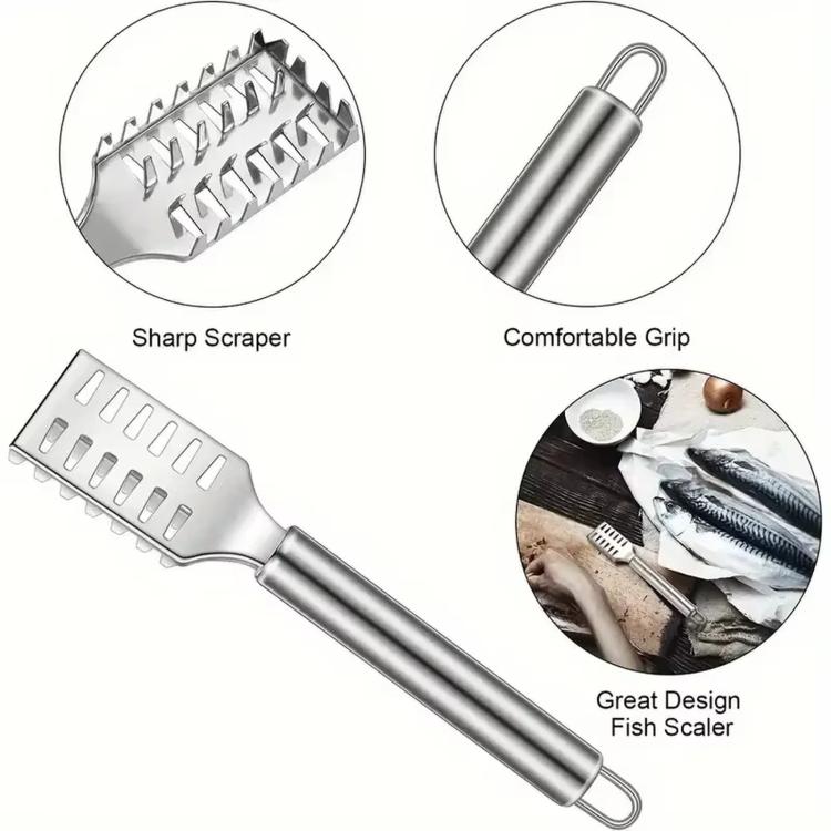 Stainless steel fish scaler tool with sharp scraper head and comfortable grip handle