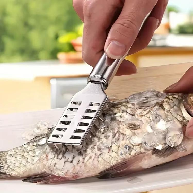 Stainless steel fish scaler scraping scales from a fish on a cutting board