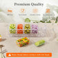 Clear five-compartment freezer tray with colorful produce portions and ice cubes