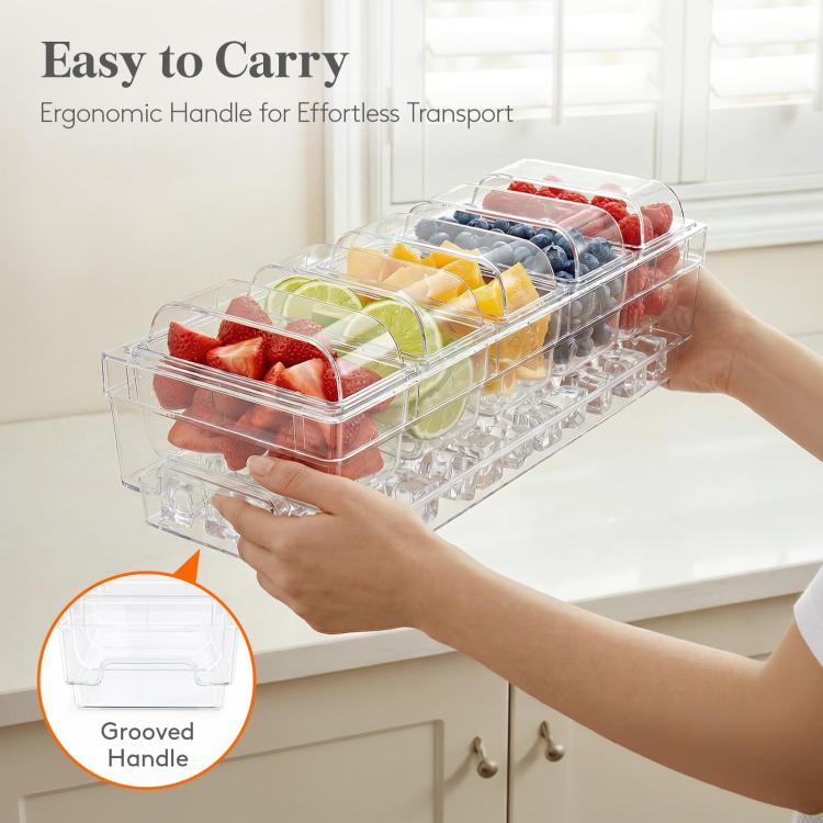 Clear five-compartment freezer tray with handle, carried by one hand