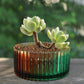 Round amber-and-green ribbed planter with small succulents