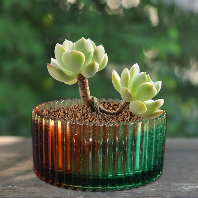 Round amber-and-green ribbed planter with small succulents