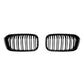 Black oval front grille pair with vertical slats and dual-line center bars