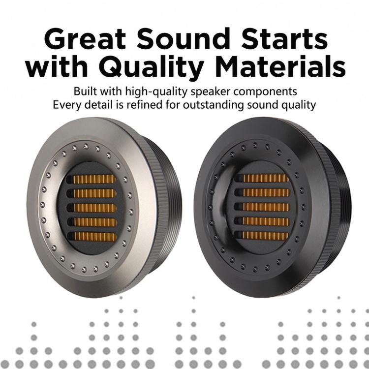 Car tweeter ribbon speakers, silver and black circular grilles with bolt-ring frame