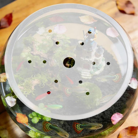 Clear acrylic round fish tank lid with center feeding hole and ventilation pores