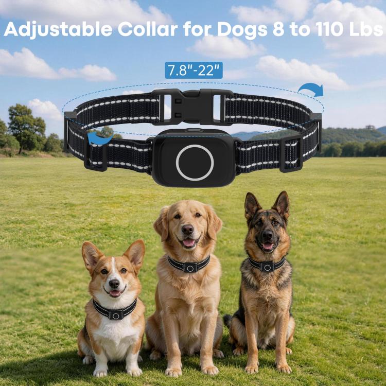Anti-bark dog collar on black-and-tan dog, adjustable strap and round control