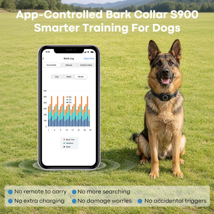 App-controlled anti-bark dog collar on German shepherd, black strap and round module