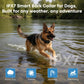 Anti-bark dog collar on German shepherd in shallow water, black strap and module