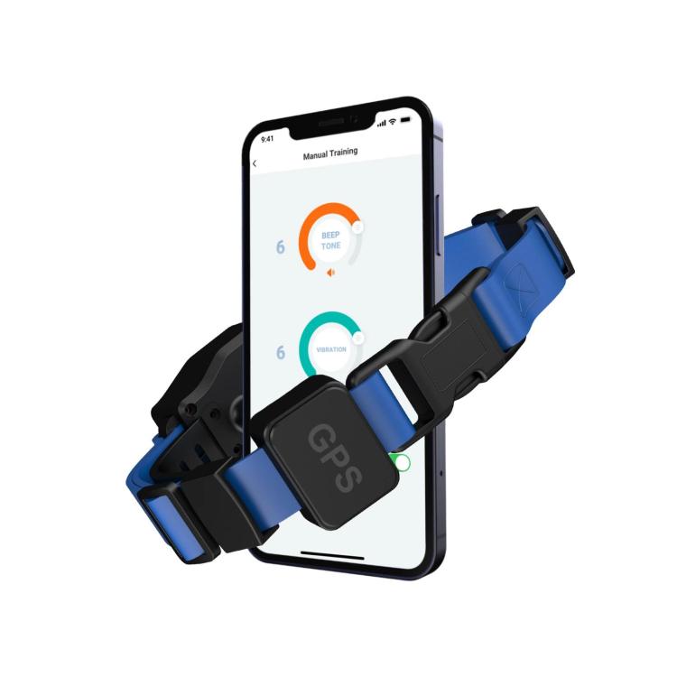 Blue GPS wireless dog training collar with black GPS module and app-ready design