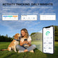 Dog activity tracking with GPS collar app on a smartphone display