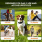 Black wireless pet training collar worn by dog during outdoor activity