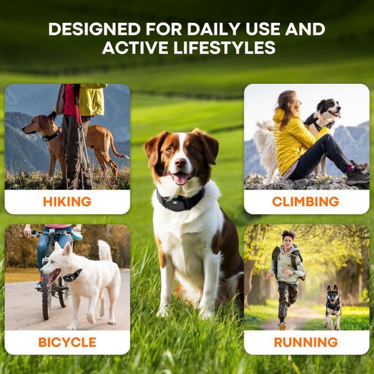 Black wireless pet training collar worn by dog during outdoor activity