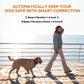 Wireless electronic dog training collar on dog outdoors