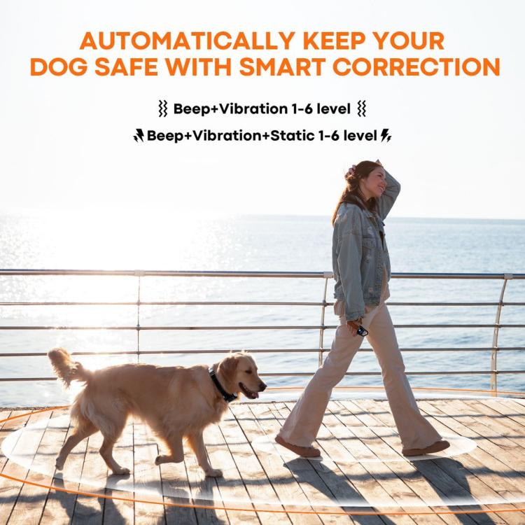 Wireless electronic dog training collar on dog outdoors