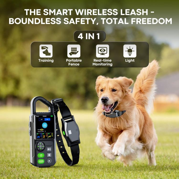 Electronic pet fence training remote and collar, dog wearing the collar outdoors