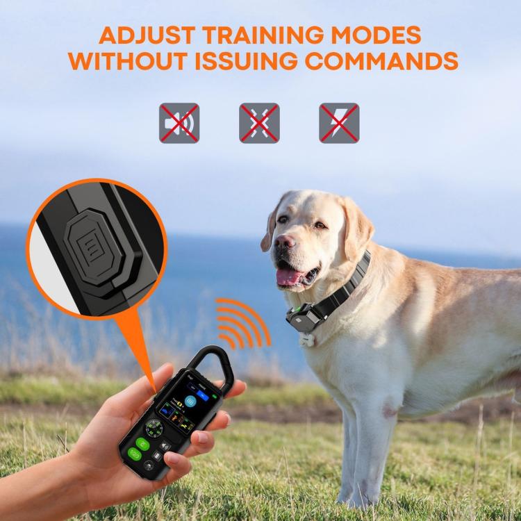 Handheld training remote controlling a dog wearing the black electronic collar