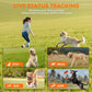 Wireless pet training system with remote and activity status tiles for stay, walk, run, jump