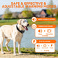 Black GPS training collar on a dog’s neck with adjustable strap