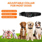 Black GPS pet training collar on multiple dogs, shown with adjustable sizing range.