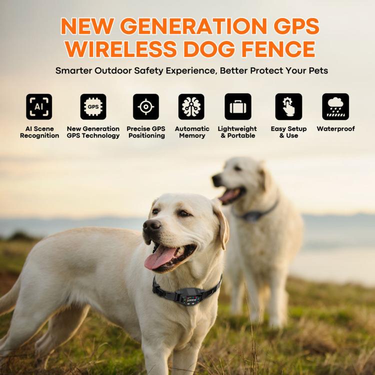 Dog wearing a black GPS pet training collar outdoors, with another dog in background.