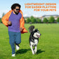 Black GPS pet training collar on a running dog outdoors with a person jogging nearby.